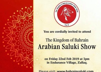 Kingdom of Bahrain Arabian Saluki Show