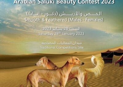 Al Dhafra Arabian Saluki Beauty Contest 2023