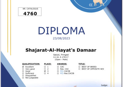 Shajarat-Al-Hayat's Damaar