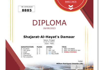 Shajarat-Al-Hayat's Damaar